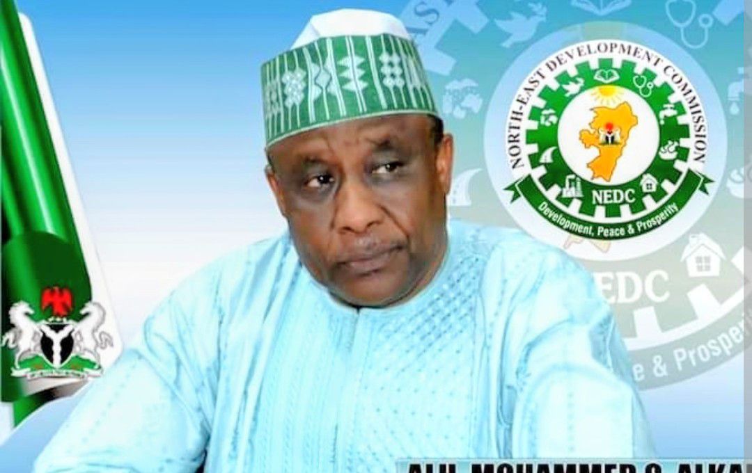 NEDC Installs Solar-Powered Security Lights in Maiduguri, Environs